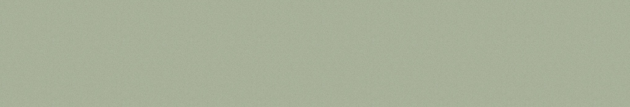 page-title-background