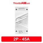 Isolator 45A 2P ABB 2TCZ751006R0003 - WSD245CL