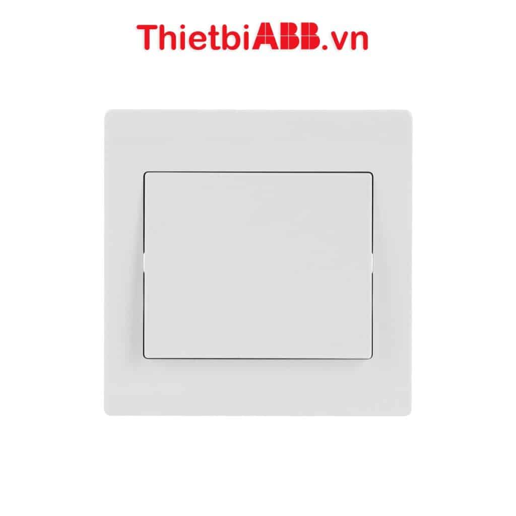 Bộ công tắc đơn 1 chiều 10ax 2tcz171001r0030