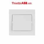 Bộ công tắc đơn 1 chiều 10AX 2TCZ171001R0030