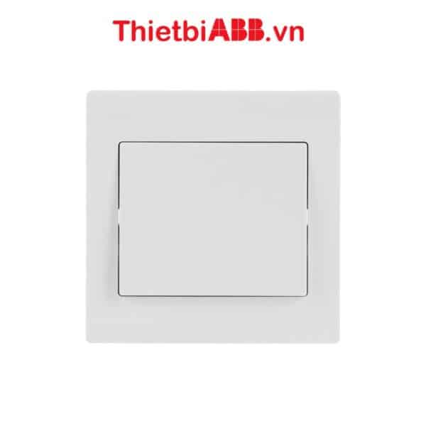 Bộ công tắc đơn 1 chiều 10AX 2TCZ171001R0030