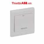 Công tắc máy nước nóng 2 cực ABB 20AX có đèn LED 2TCZ171014R0070