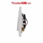 Công tắc máy nước nóng ABB có đèn LED 2TCZ171014R0070