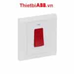 Công tắc 2 cực 45AX ABB có đèn báo Neon 2TCZ171098R0090