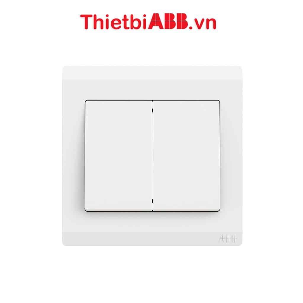 Bộ công tắc đôi 1 chiều 10ax 2tcz171003r0030