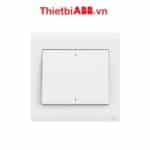 Bộ công tắc đôi 1 chiều 10AX 2TCZ171003R0030