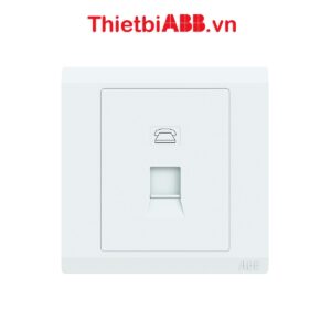 Bộ ổ cắm điện thoại đơn RJ11 2TCZ173006R0010