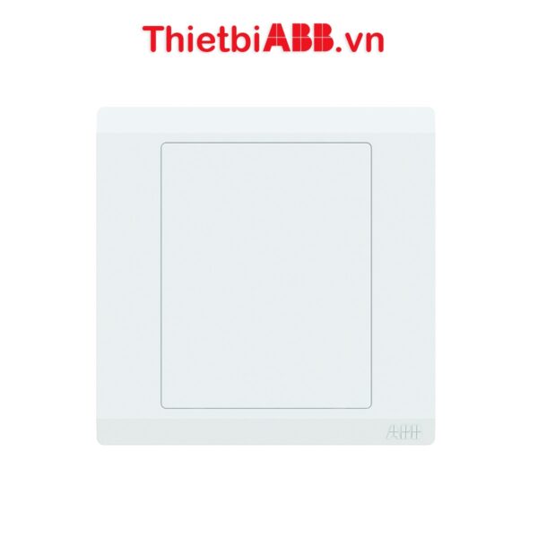 Mặt che trơn đơn 2TCZ175001R0010