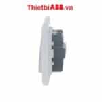 Bộ công tắc bốn 1 chiều ABB 10AX 2TCZ171007R0030