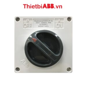 Công tắc đơn 1 chiều 2 cực 20A IP66 2TCZ751005R0070 Loại xoay